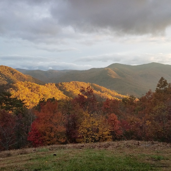 Meet your Posher, Chris - Picture 2 of 2